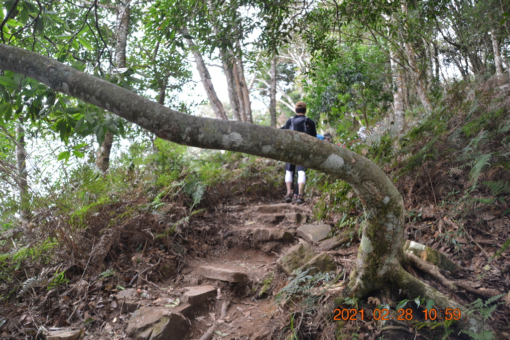 DSC_0071.JPG DSC_0071.JPG