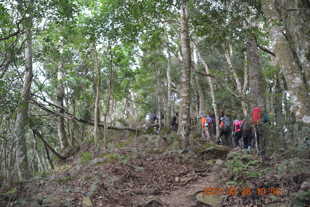 DSC_0070.JPG DSC_0070.JPG