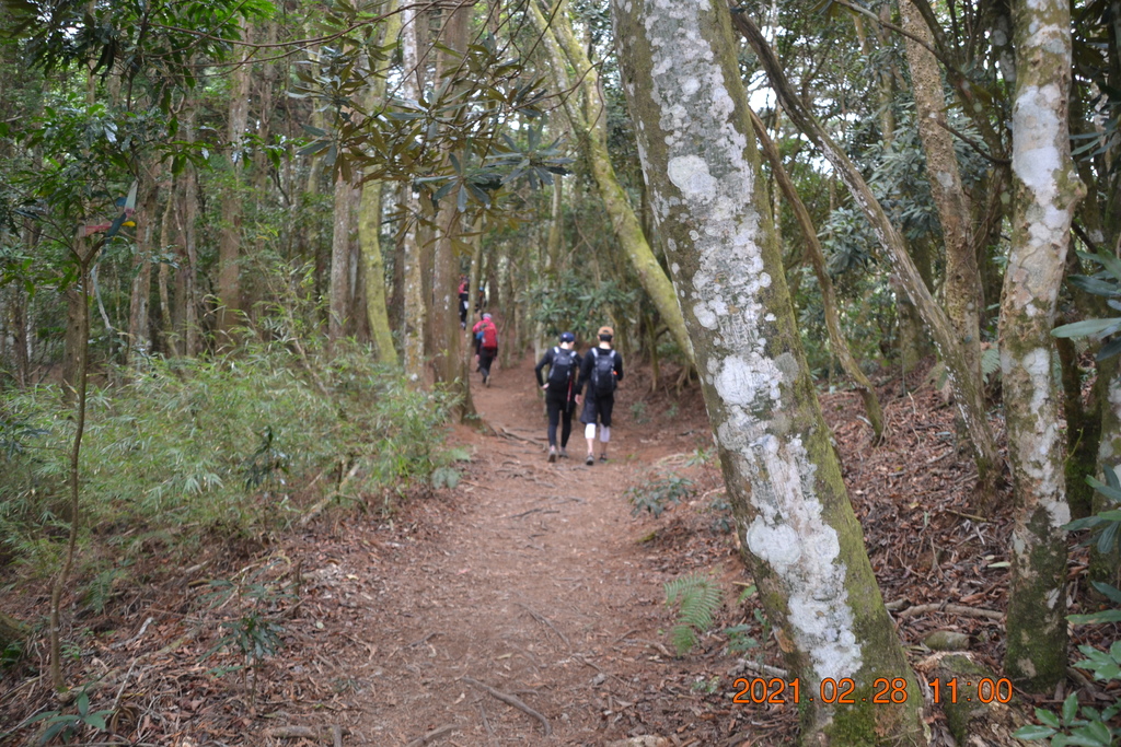 DSC_0072.JPG DSC_0072.JPG