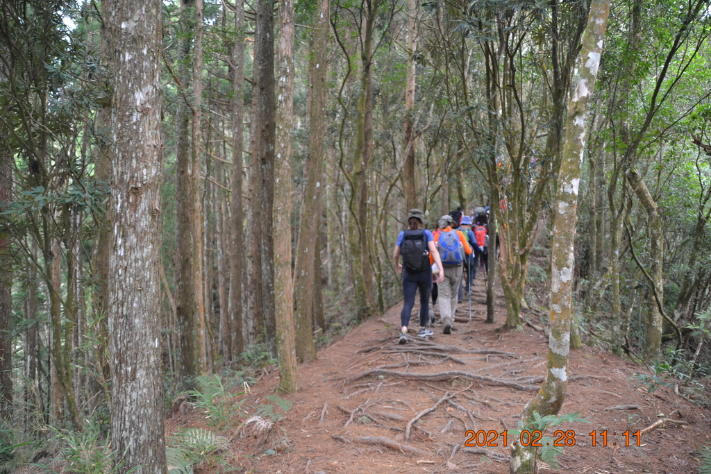 DSC_0074.JPG DSC_0074.JPG