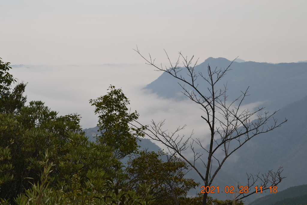 DSC_0075.JPG DSC_0075.JPG