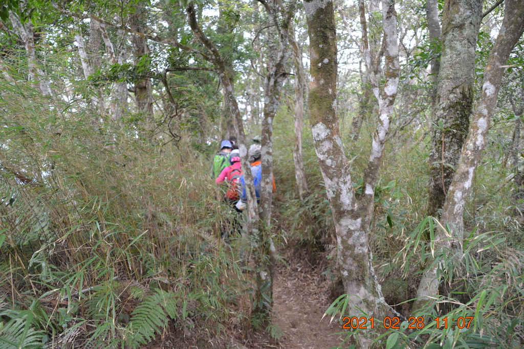 DSC_0073.JPG DSC_0073.JPG