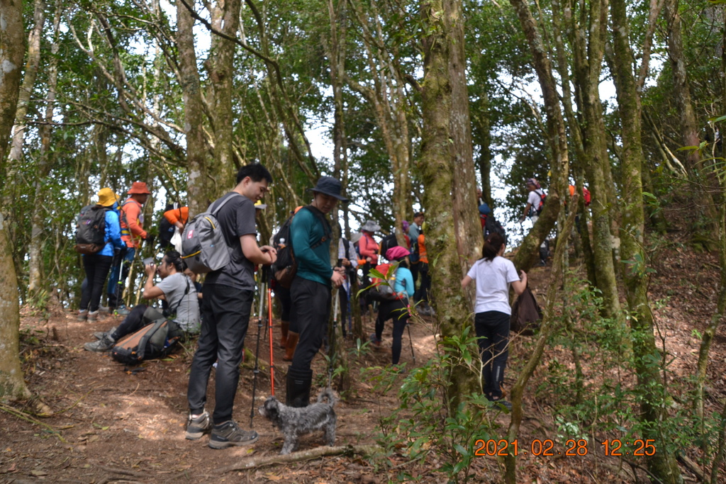 DSC_0081.JPG DSC_0081.JPG