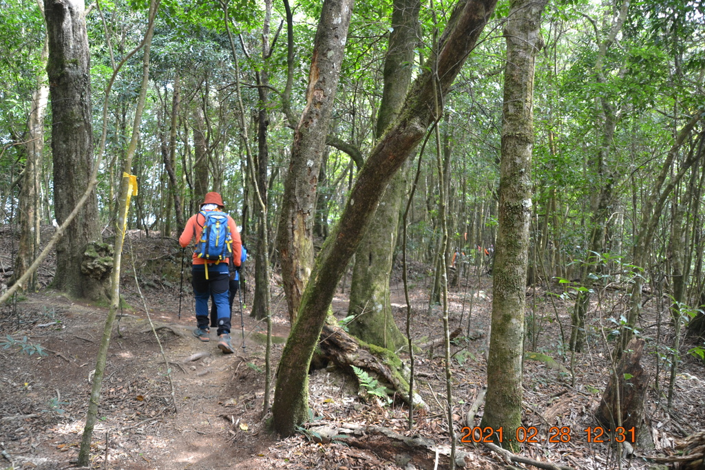 DSC_0082.JPG DSC_0082.JPG