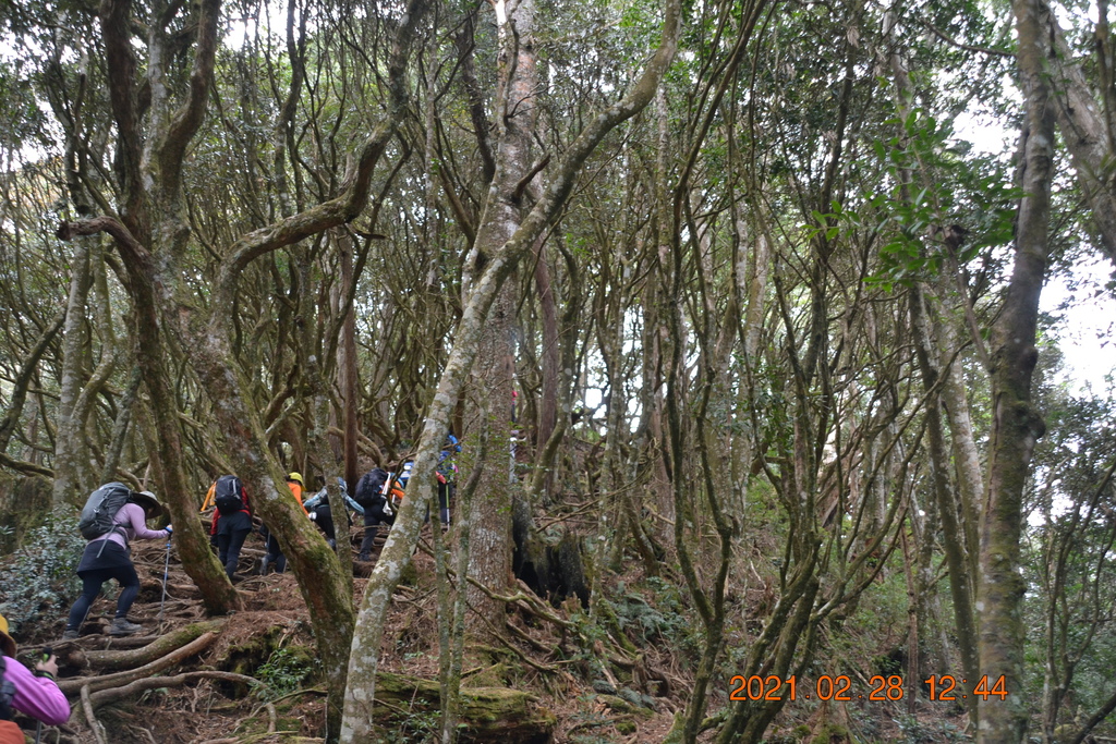 DSC_0093.JPG DSC_0093.JPG