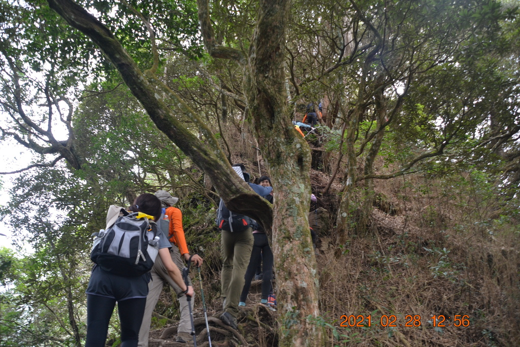 DSC_0097.JPG DSC_0097.JPG