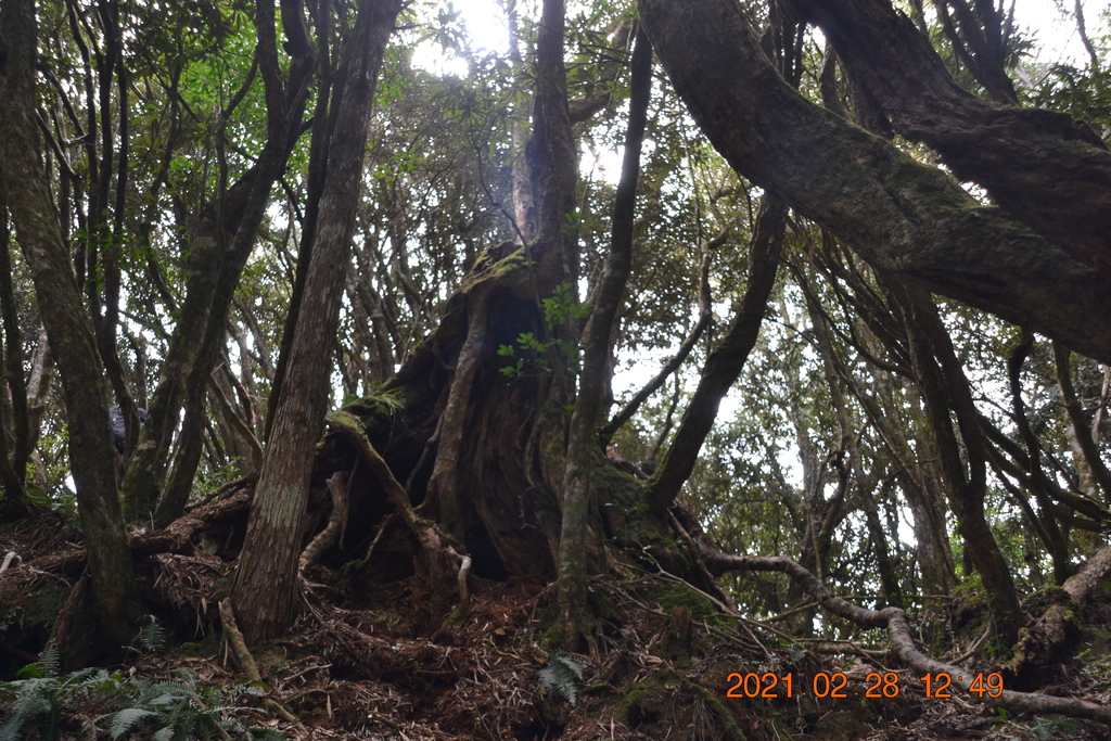 DSC_0096.JPG DSC_0096.JPG