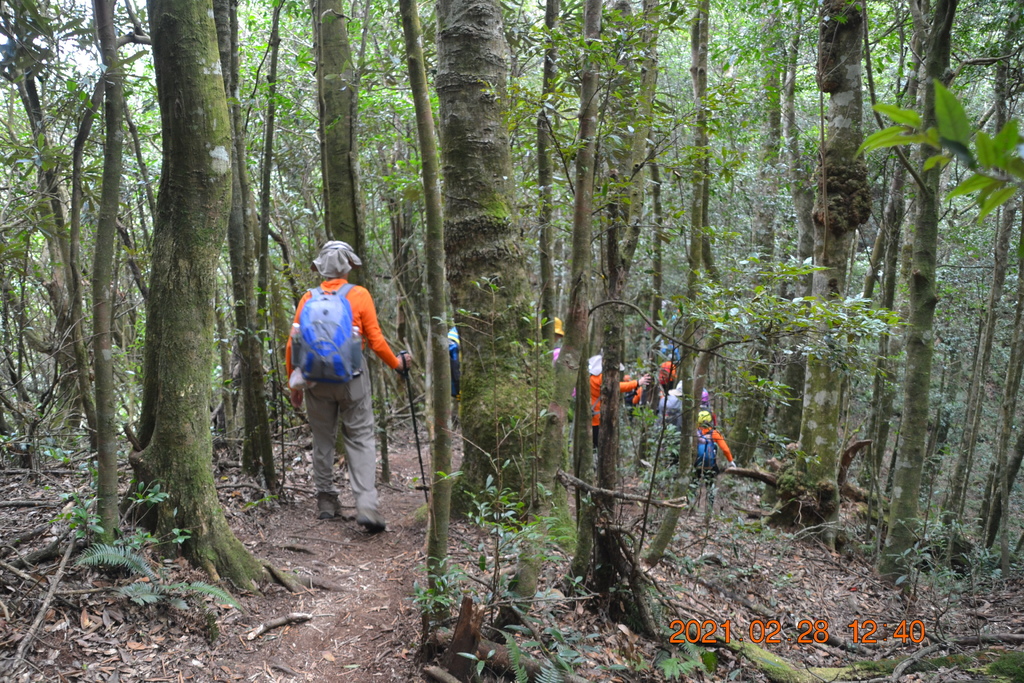 DSC_0092.JPG DSC_0092.JPG
