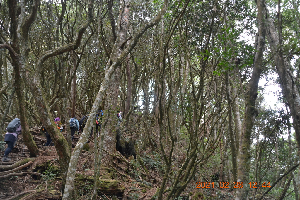 DSC_0094.JPG DSC_0094.JPG