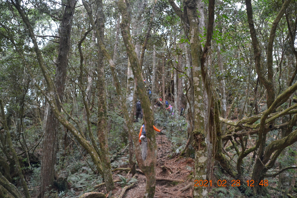 DSC_0095.JPG DSC_0095.JPG