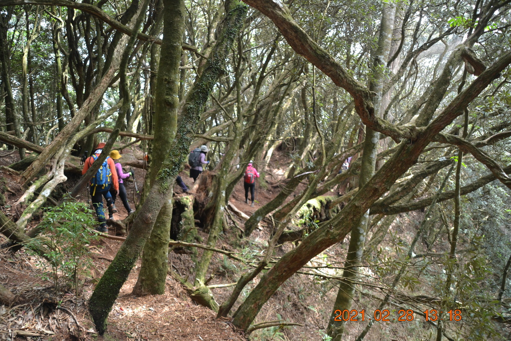 DSC_0111.JPG DSC_0111.JPG
