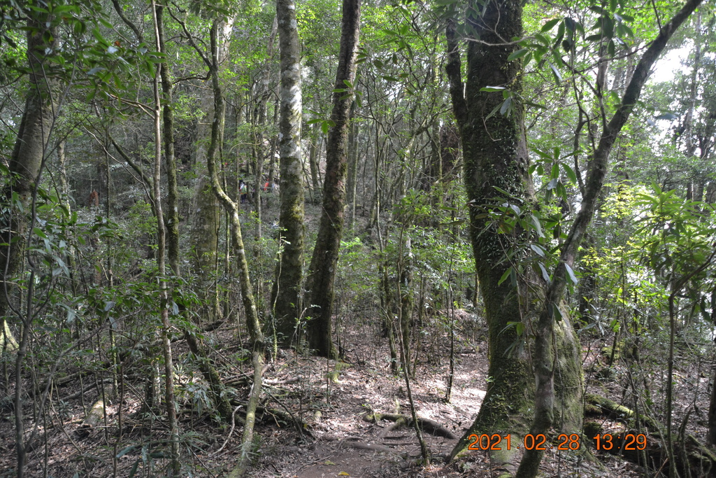 DSC_0121.JPG DSC_0121.JPG