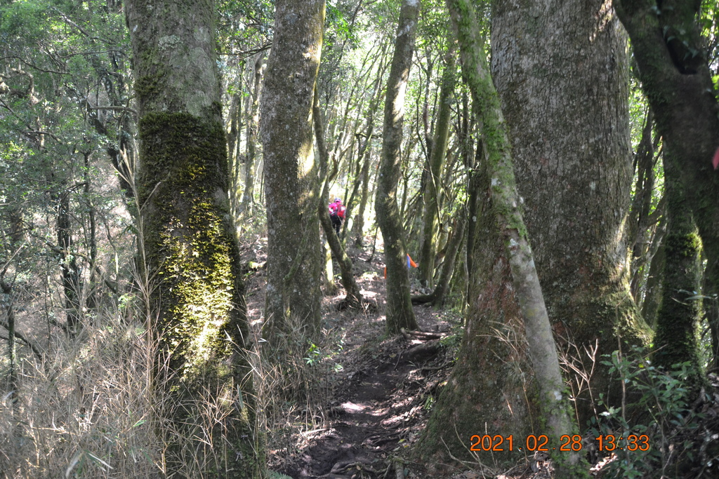 DSC_0122.JPG DSC_0122.JPG
