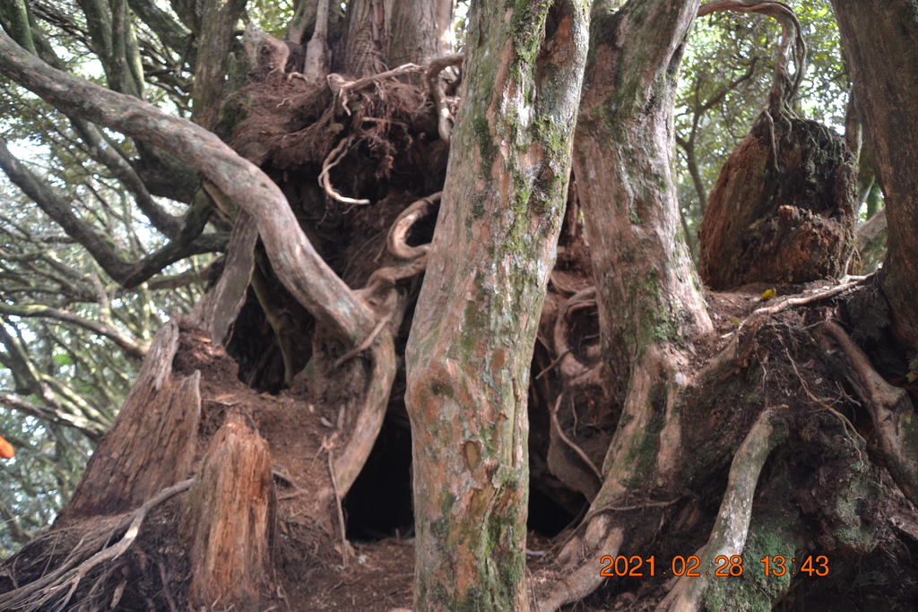 DSC_0126.JPG DSC_0126.JPG
