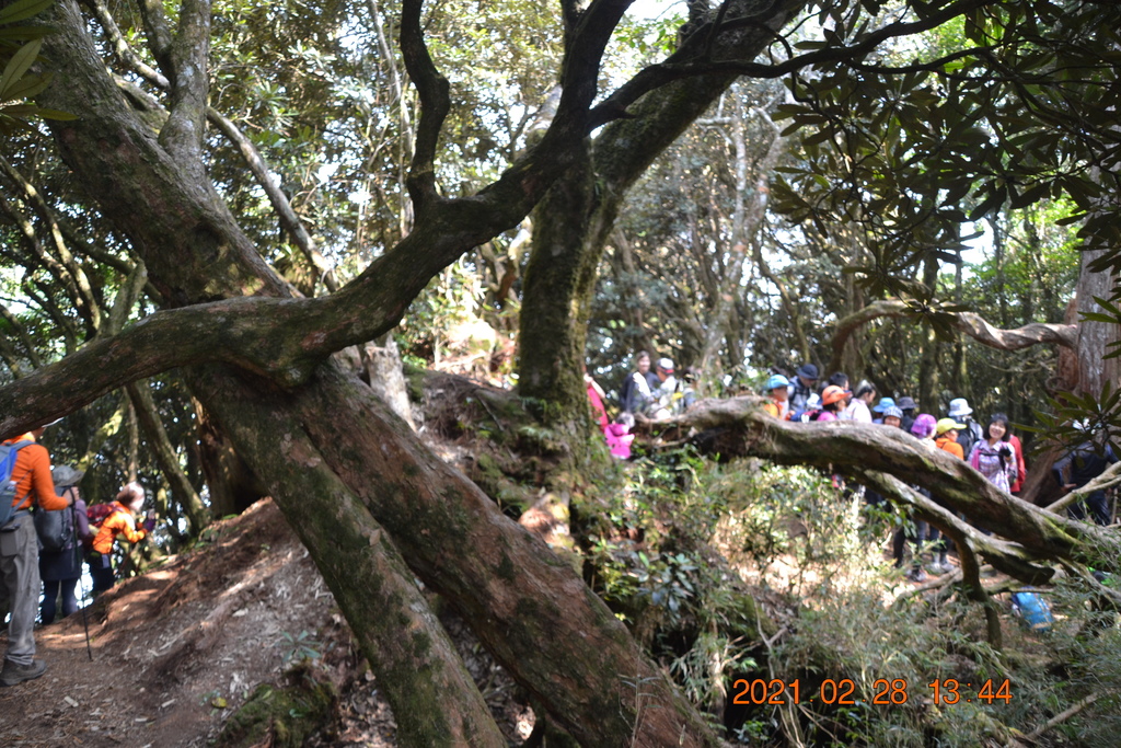 DSC_0128.JPG DSC_0128.JPG