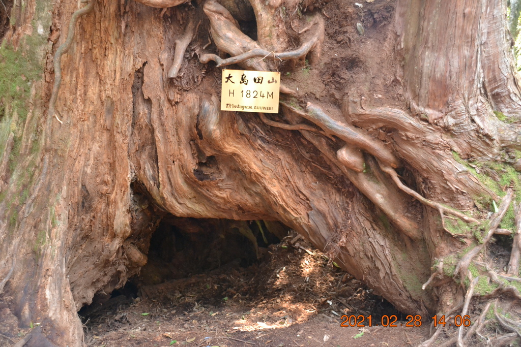 DSC_0160.JPG DSC_0160.JPG