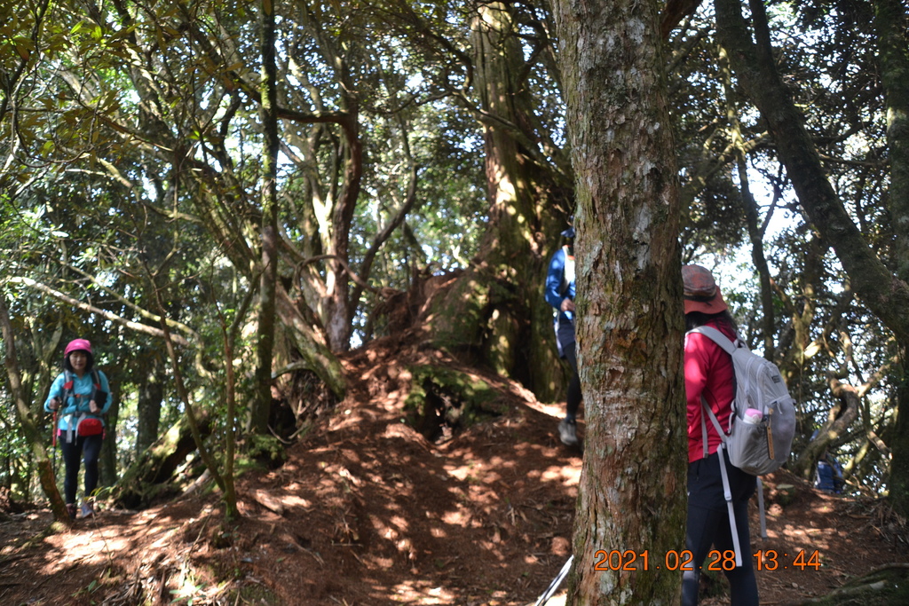DSC_0127.JPG DSC_0127.JPG