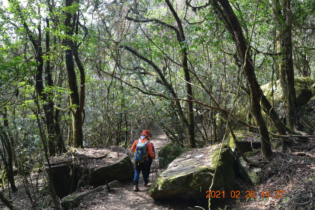DSC_0163.JPG DSC_0163.JPG