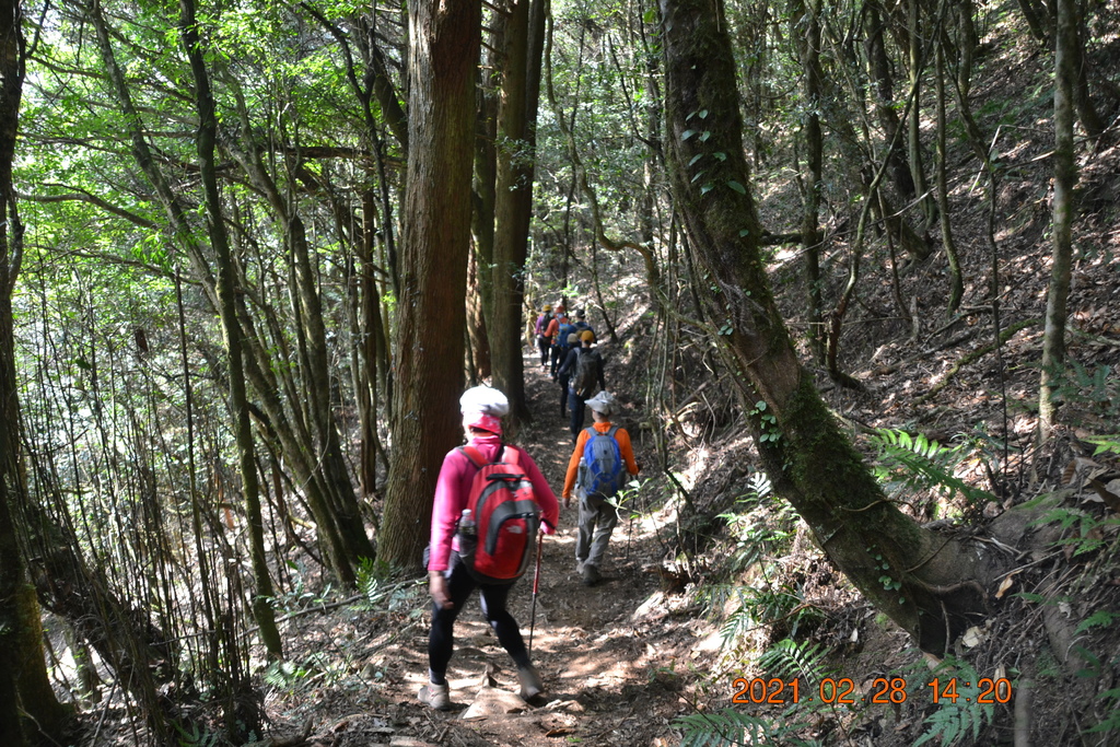 DSC_0162.JPG DSC_0162.JPG