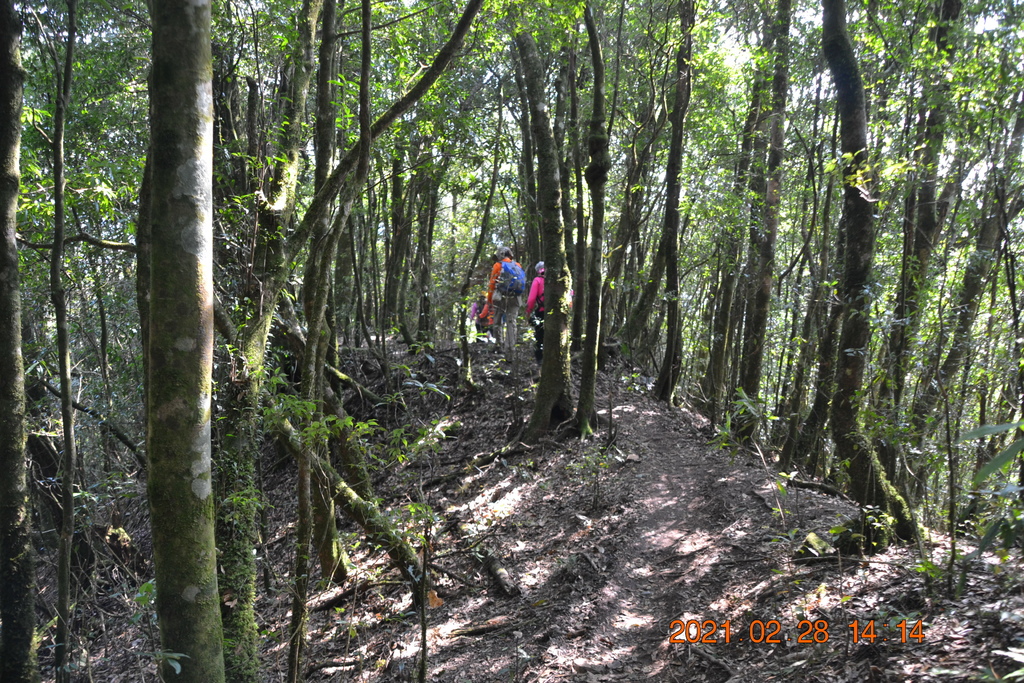 DSC_0161.JPG DSC_0161.JPG