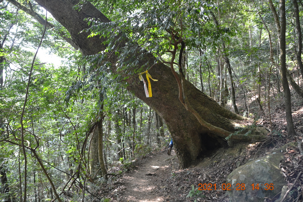 DSC_0165.JPG DSC_0165.JPG