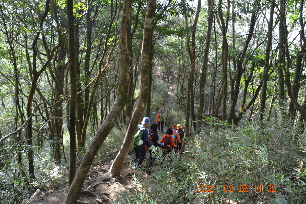 DSC_0175.JPG DSC_0175.JPG