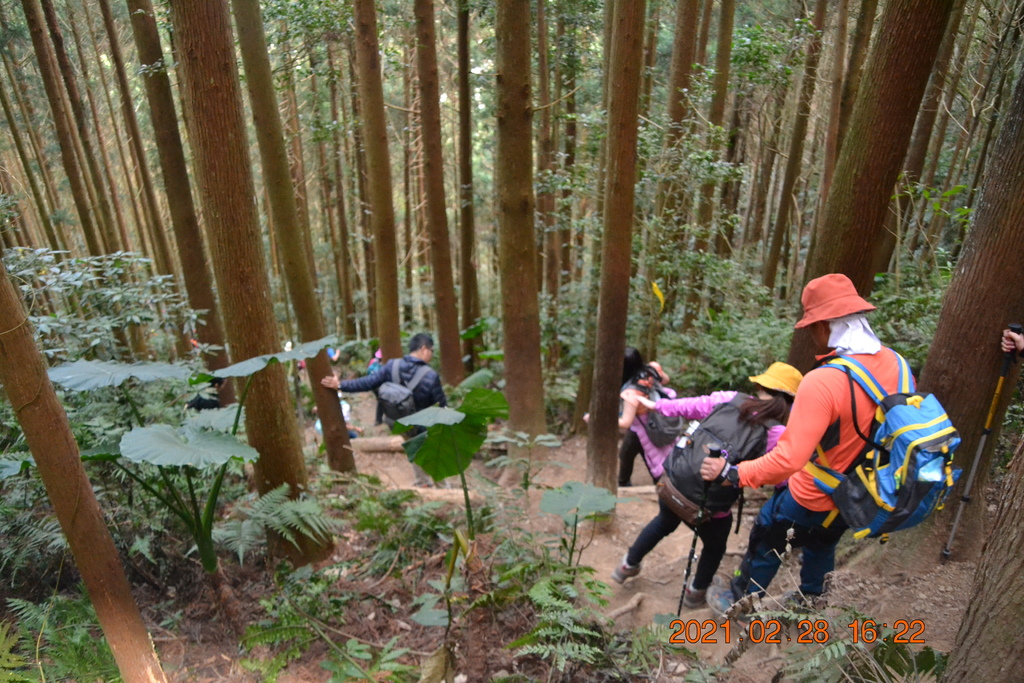 DSC_0189.JPG DSC_0189.JPG