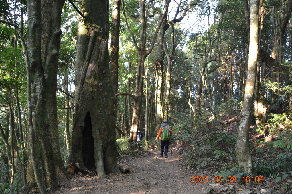 DSC_0185.JPG DSC_0185.JPG