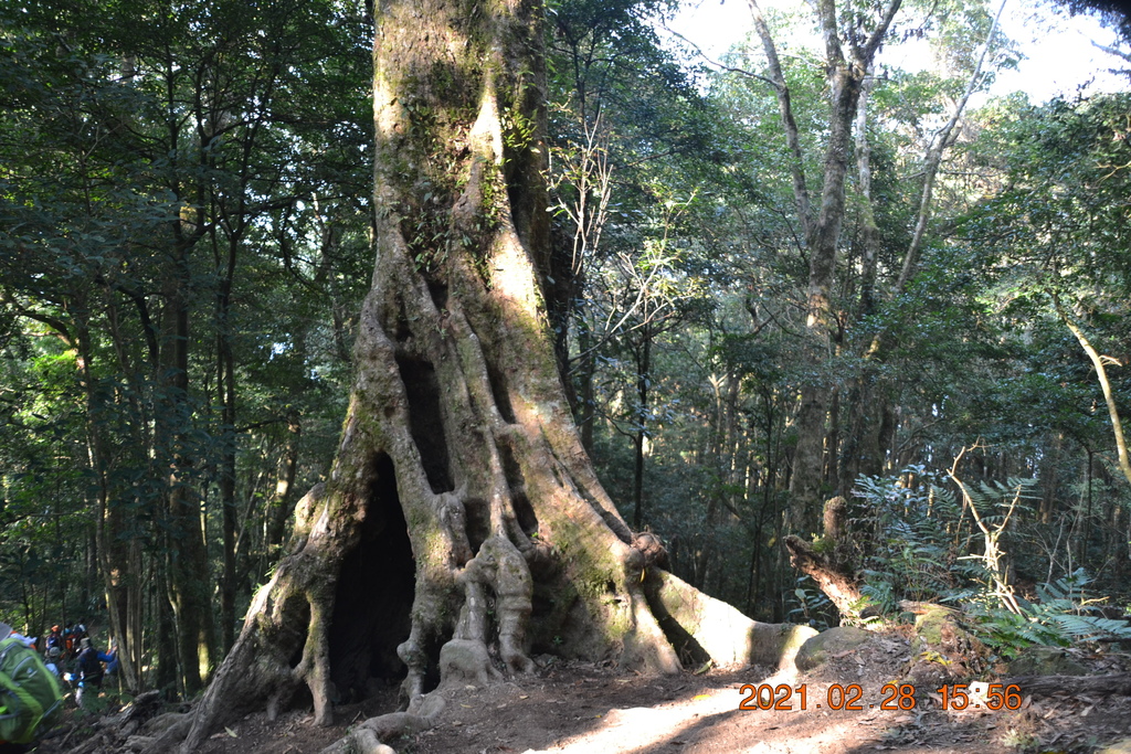 DSC_0183.JPG DSC_0183.JPG