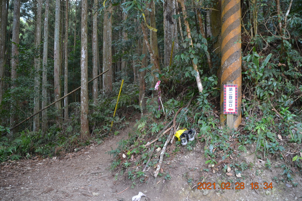 DSC_0191.JPG DSC_0191.JPG