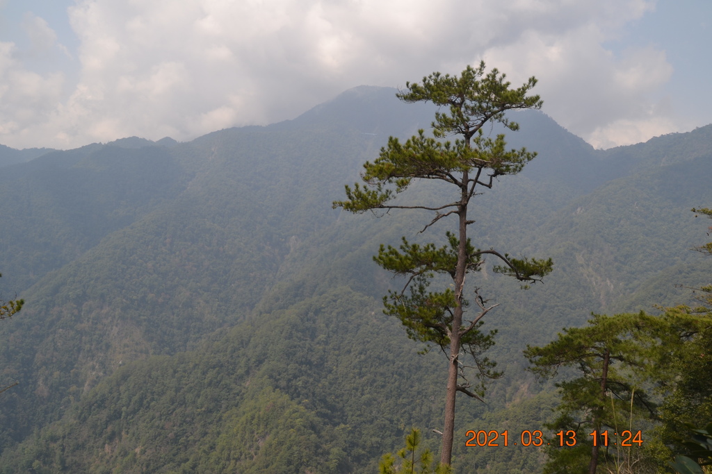 DSC_0150.JPG DSC_0150.JPG