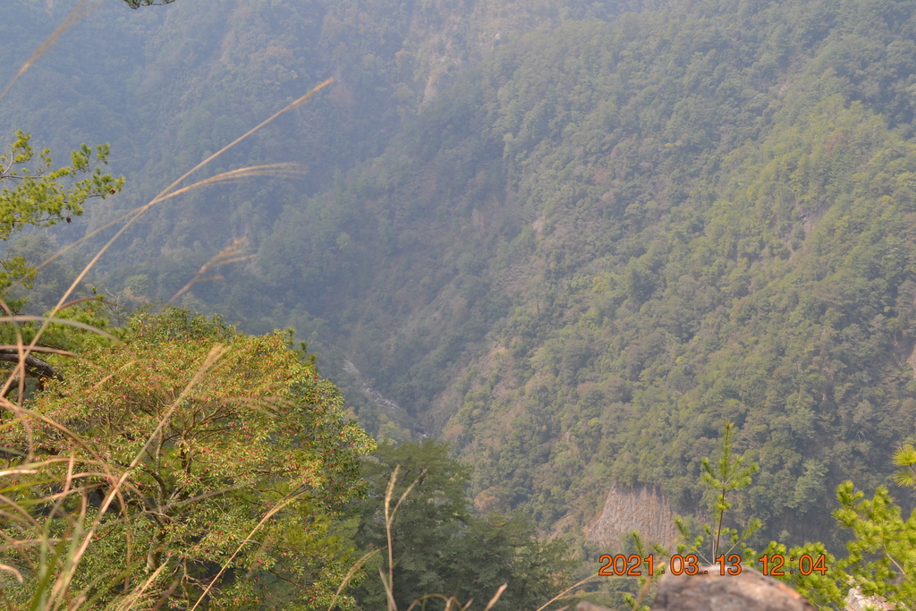 DSC_0195.JPG DSC_0195.JPG
