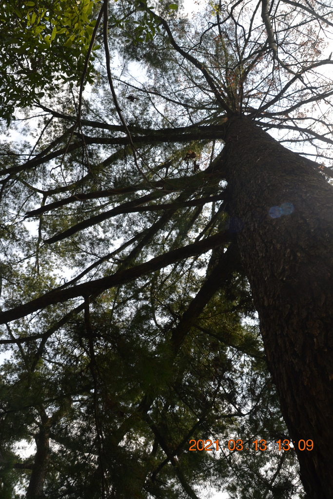 DSC_0226.JPG DSC_0226.JPG