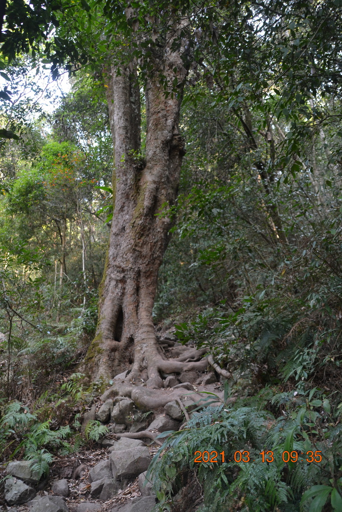 DSC_0088.JPG DSC_0088.JPG