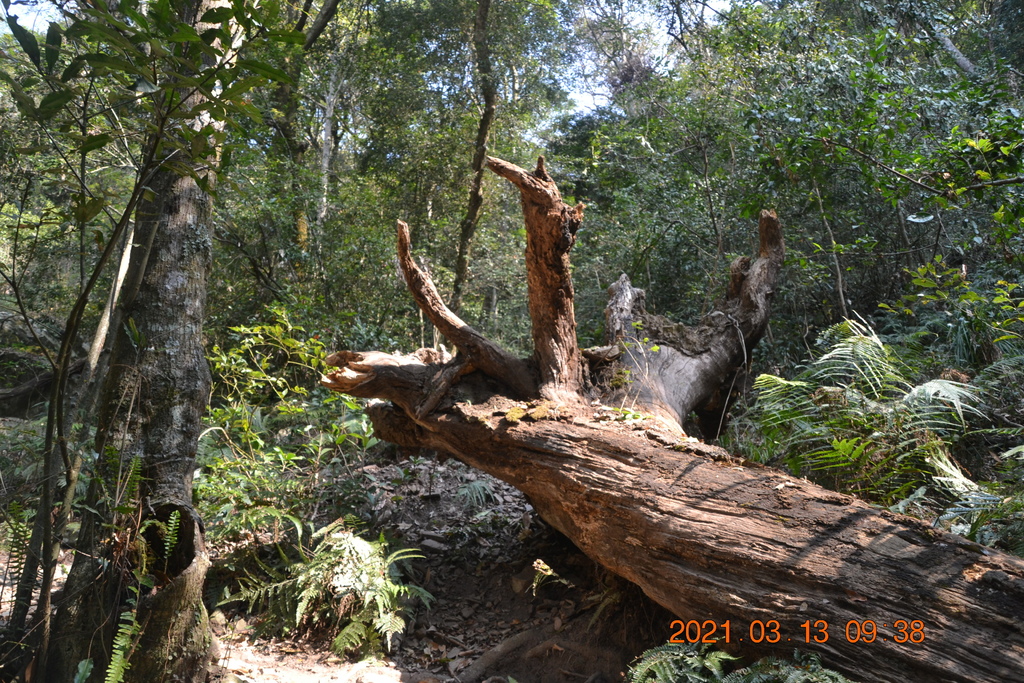 DSC_0090.JPG DSC_0090.JPG