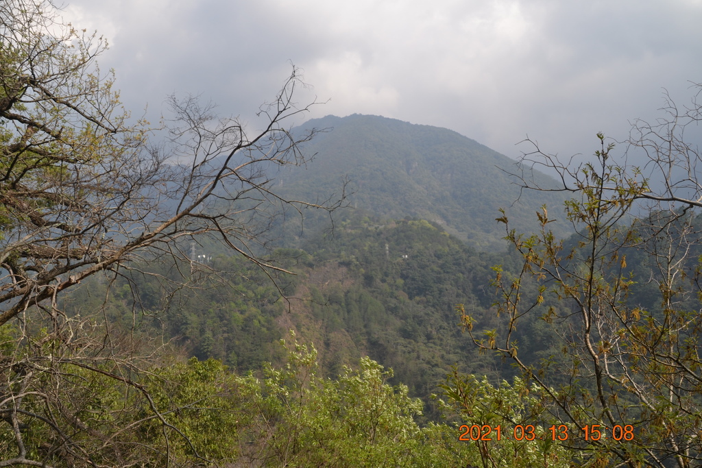 DSC_0282.JPG DSC_0282.JPG