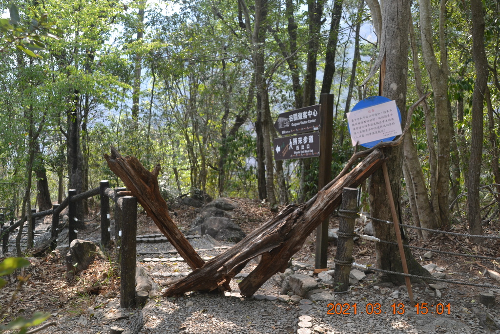 DSC_0271.JPG DSC_0271.JPG