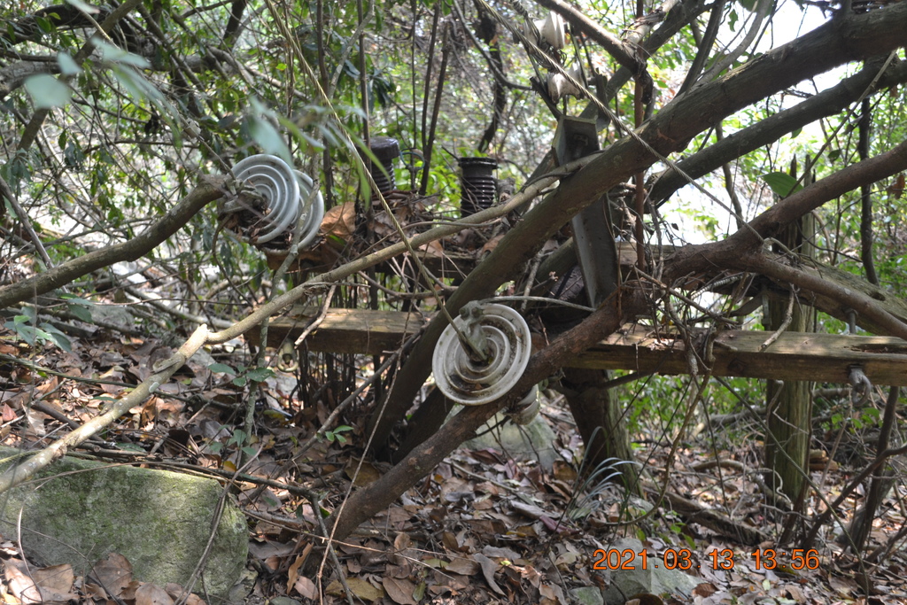 DSC_0245.JPG DSC_0245.JPG