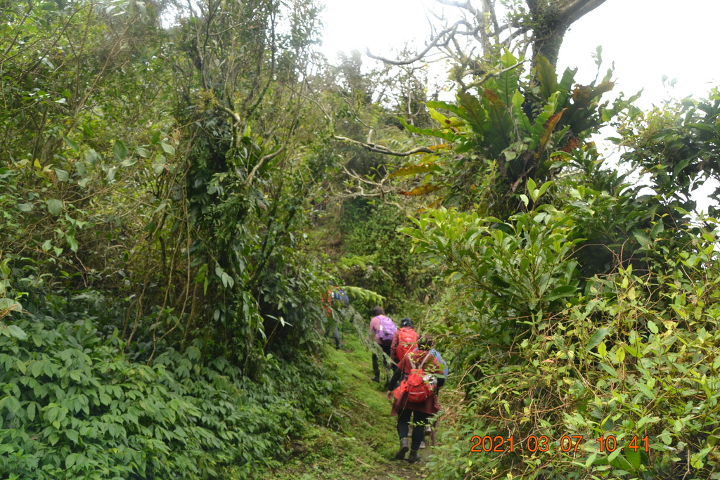 DSC_0613.JPG DSC_0613.JPG