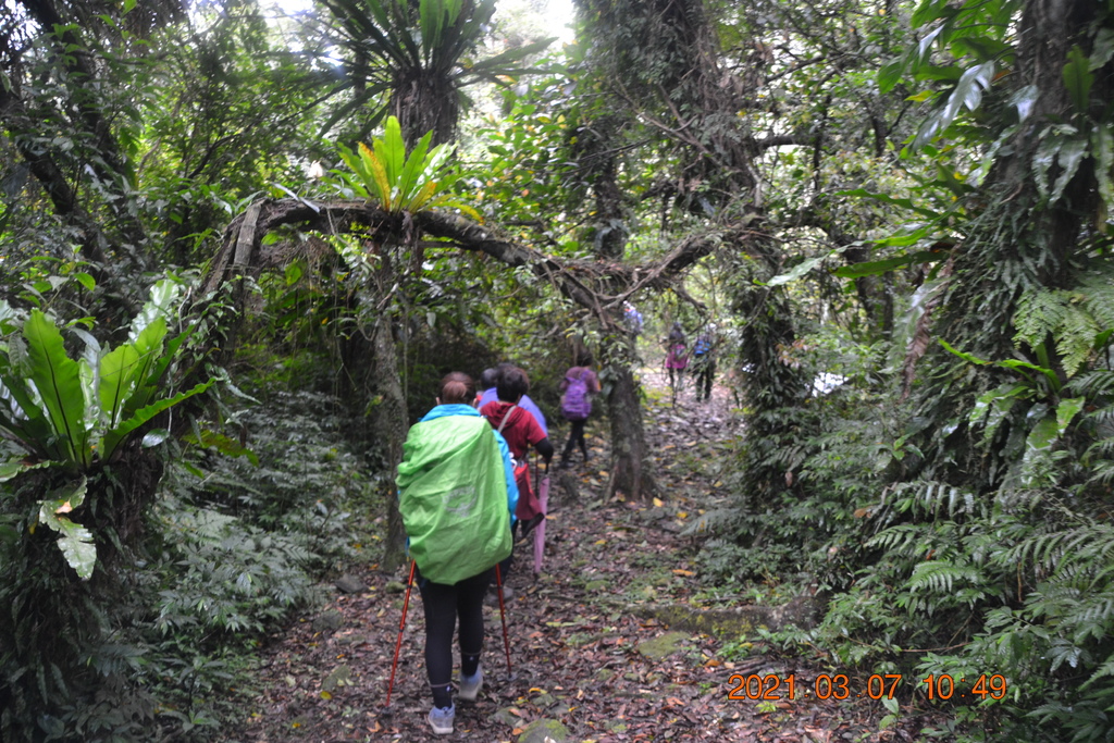 DSC_0617.JPG DSC_0617.JPG