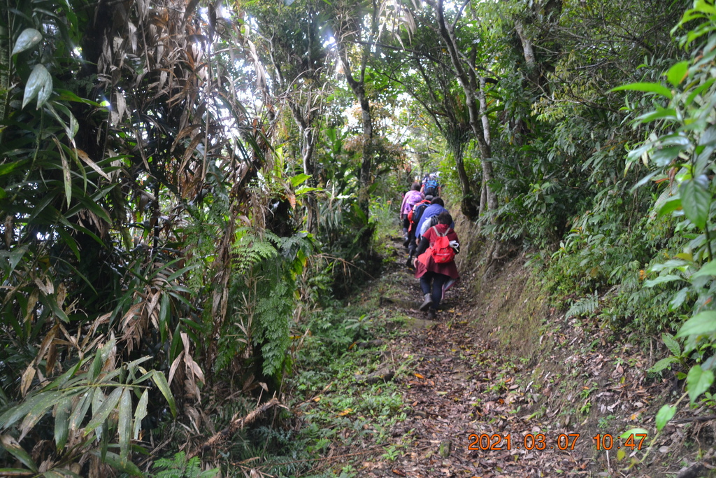 DSC_0614.JPG DSC_0614.JPG
