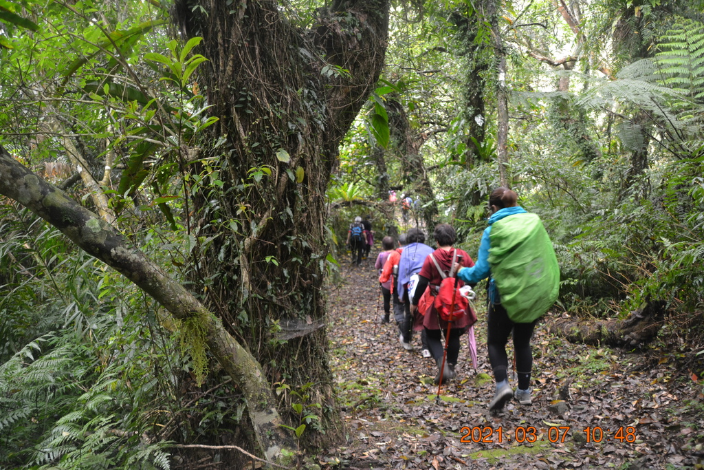 DSC_0616.JPG DSC_0616.JPG