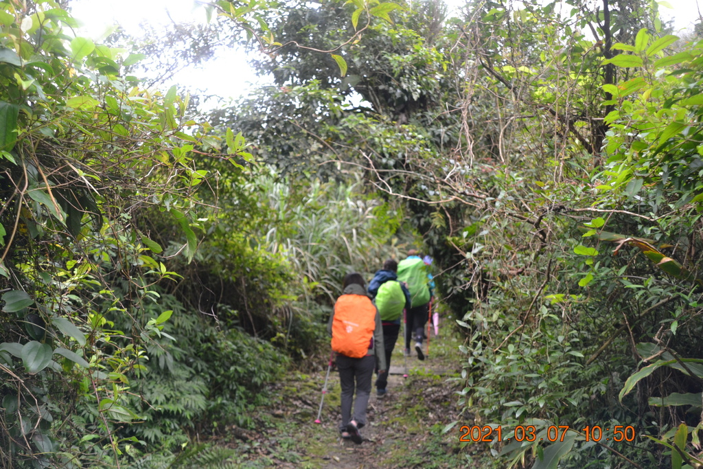 DSC_0620.JPG DSC_0620.JPG