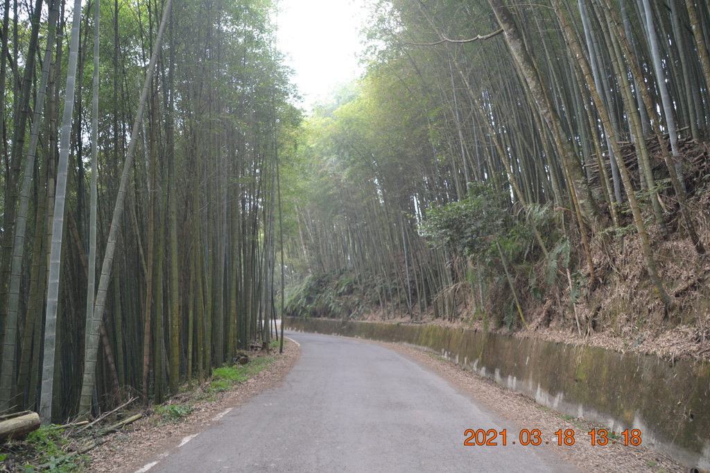 DSC_0056.JPG DSC_0056.JPG