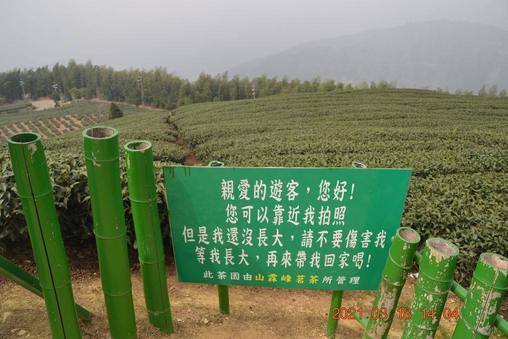 DSC_0122.JPG DSC_0122.JPG