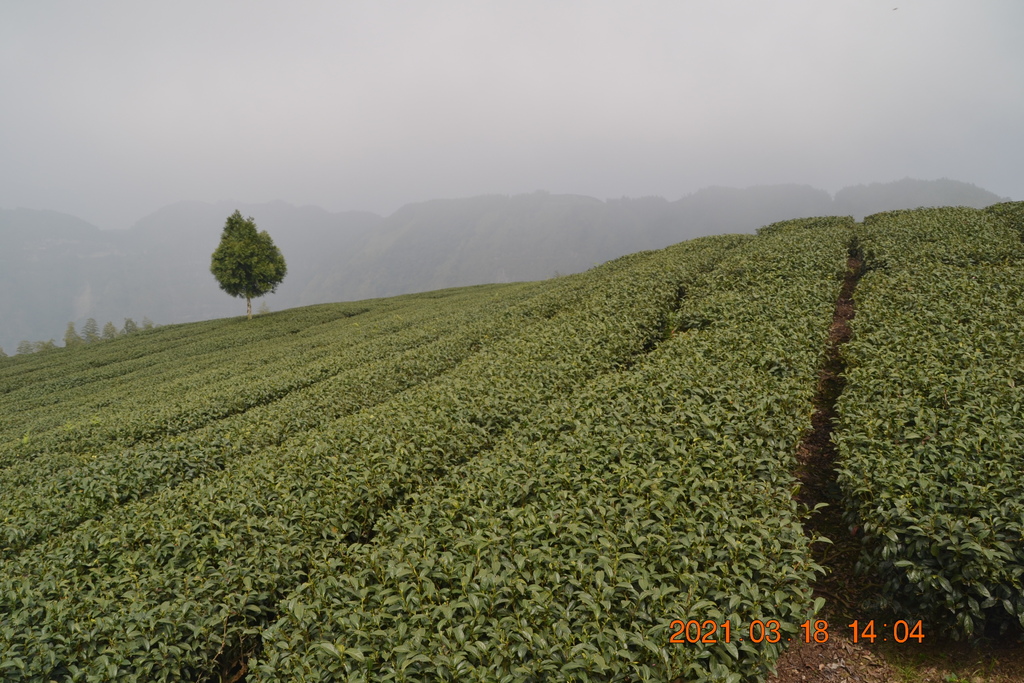 DSC_0123.JPG DSC_0123.JPG