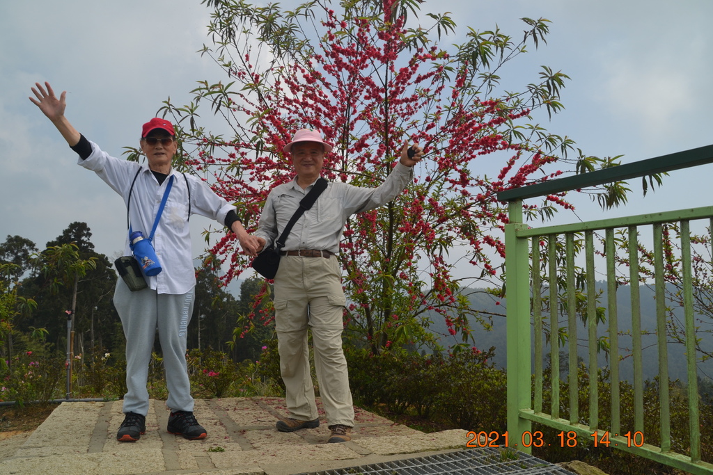 DSC_0139.JPG DSC_0139.JPG