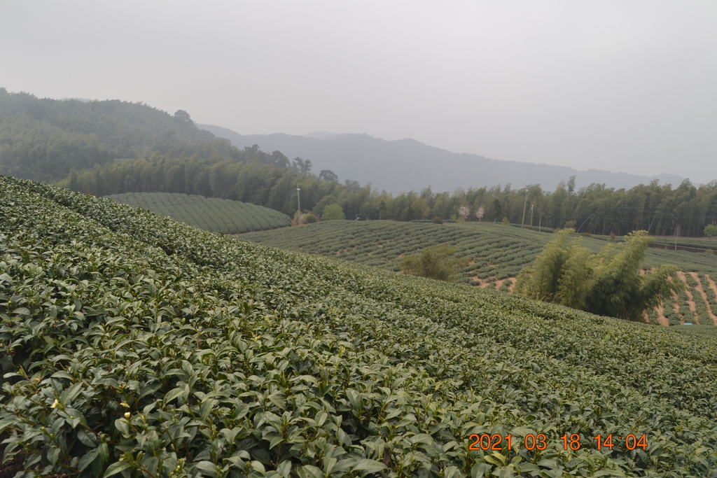 DSC_0125.JPG DSC_0125.JPG