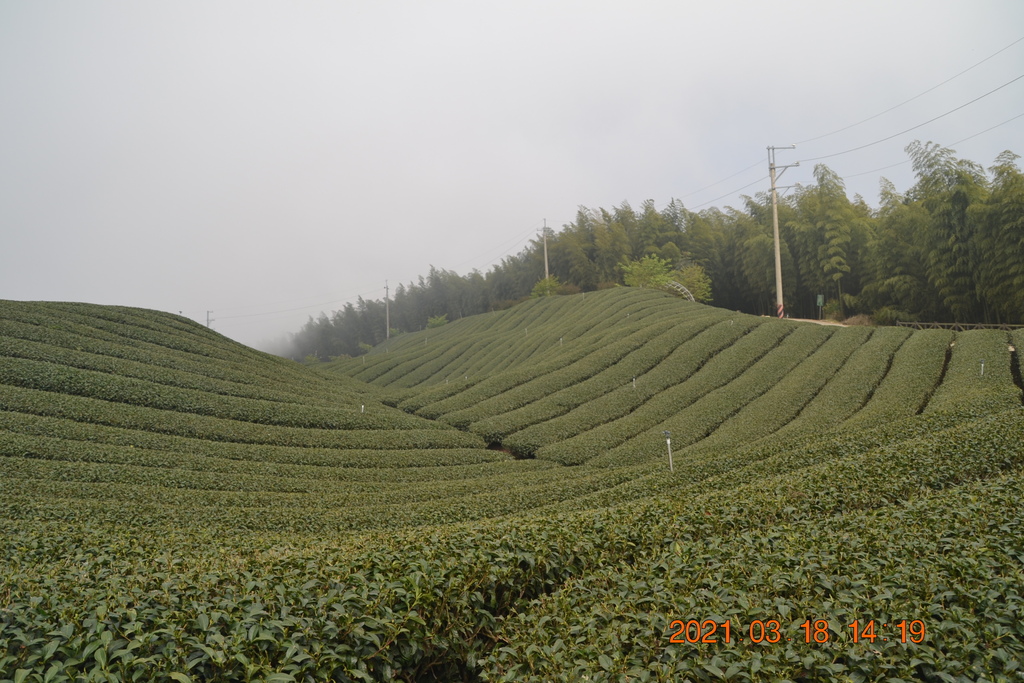 DSC_0155.JPG DSC_0155.JPG