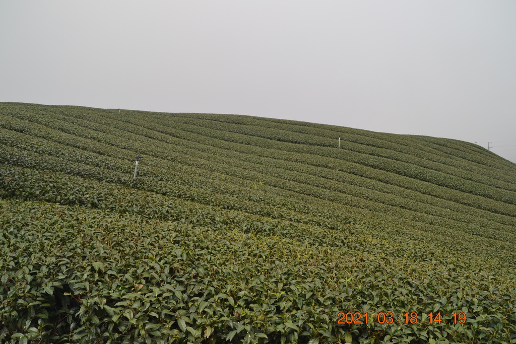 DSC_0156.JPG DSC_0156.JPG